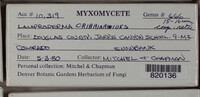 Image Associated With the Occurence